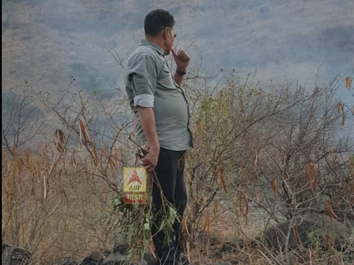  परंतु कात्रजच्या नवीन बोगद्याच्या वरती असलेल्या टेकडीवर मोठा वणवा पेटल्याच त्यांनी पाहिलं. 