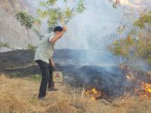 Photo | अभिनेते सयाजी शिंदेंनी जीव धोक्यात घालून विझवला वणवा; कात्रज टेकडीवरील घटना