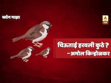 World Sparrow Day : चिऊताई हरवली कुठे?