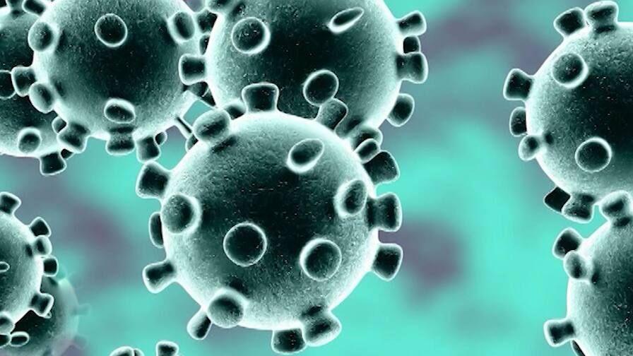 Central Security Force 6 more jawans Corona test positive in Navi Mumbai नवी मुंबईतील केंद्रीय सुरक्षा बलाच्या आणखी 6 जवांनाची कोरोना टेस्ट पॉझिटिव्ह