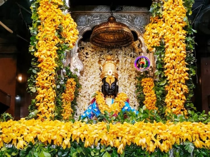 Gudhipadva Special Pandharpur Vishesh vitthal temple decorated with Sonchafa Gudhipadva Special | चाफ्याच्या फुलांनी सजली पंढरपुरची माऊली