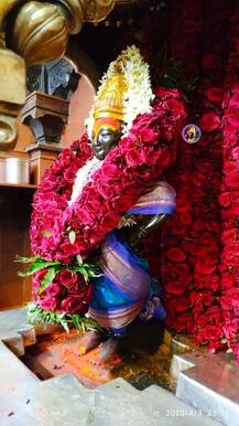 PHOTO | चैत्री एकादशीनिमित्त विठुरायाचं साजरं रुप, विठ्ठल रखुमाईला गुलाबाची आरास