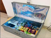 coronavirus | कोरोना व्हायरसचा संसर्ग रोखण्यासाठी अनोखी ट्रंक; 30 मिनिटांत कोणतीही वस्तू विषाणूमुक्त