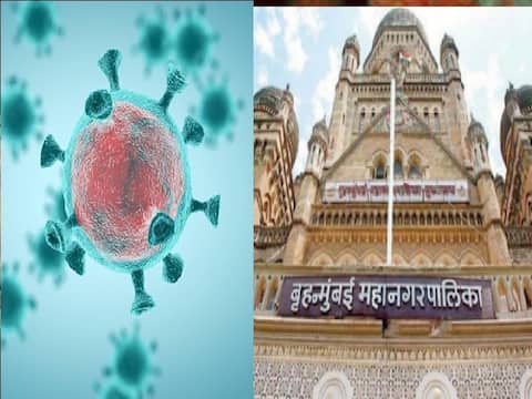 चिंताजनक! मुंबईतल्या सहा वॉर्डमध्ये 300 पेक्षा जास्त कोरोना बाधित रुग्ण चिंताजनक! मुंबईतल्या सहा वॉर्डमध्ये 300 पेक्षा जास्त कोरोना बाधित रुग्ण