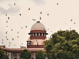सोयाबीन बियाणे उत्पादक, विक्रेत्यांवर पुढील सुनावणी होईपर्यंत कारवाई करू नये : सर्वोच्च न्यायालय