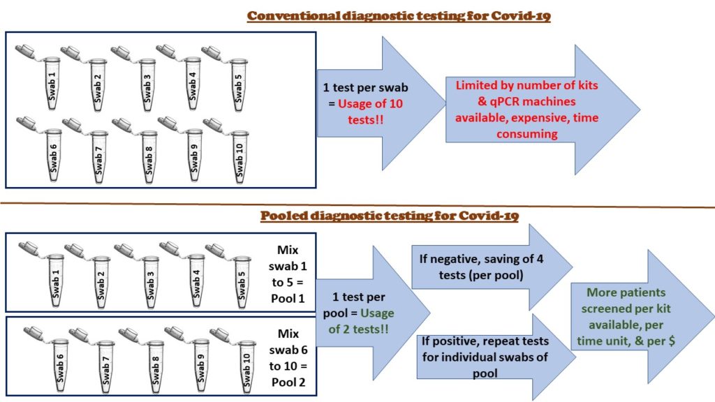 Coronavirus | पूल टेस्टिंग म्हणजे काय? भारतात कोरोनाविरुद्धच्या लढ्यात त्याचा किती उपयोग होईल?