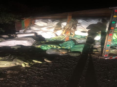 भाजीपाल्याच्या ट्रकमध्ये चक्क गुटखा वाहतूक, अपघातामुळे गुटखा तस्करी उघड भाजीपाल्याच्या ट्रकमध्ये चक्क गुटखा वाहतूक, अपघातामुळे गुटखा तस्करी उघड