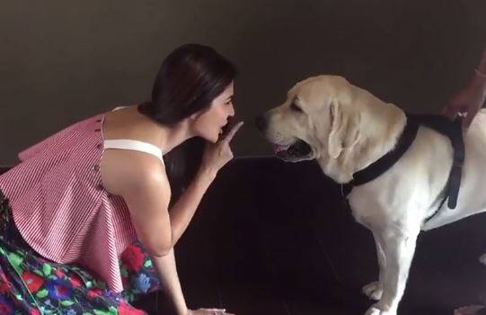 (सर्व फोटो : इन्स्टाग्राम)