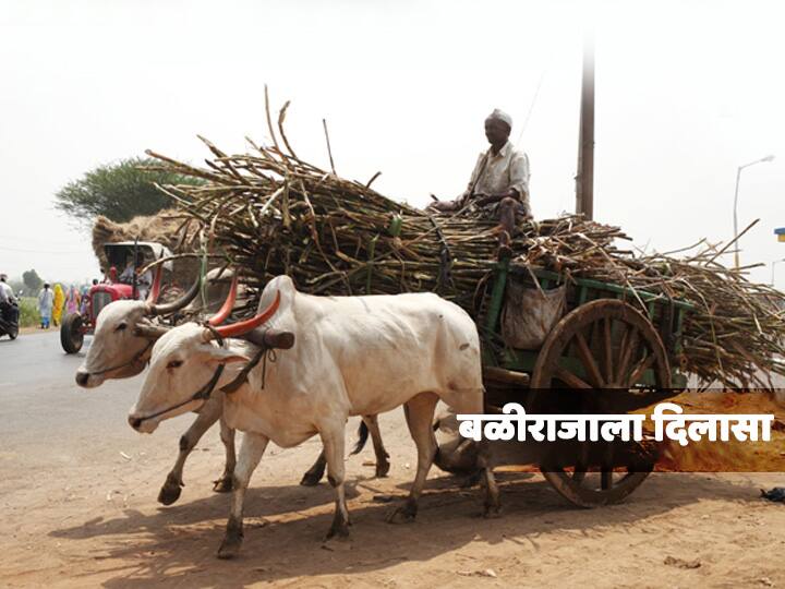 Maharashtra governments GR about  crop loan  mahatma jyotirao phule scheme शेतकऱ्यांना सरकारचा मोठा दिलासा, खरीप हंगामासाठी नवं कर्ज देण्याच्या बॅंकांना सूचना