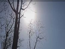 अकोला ठरलं महाराष्ट्रातलं सर्वाधिक उष्ण शहर;  स्वातंत्र्यानंतर सर्वाधिक तापमानाची नोंद