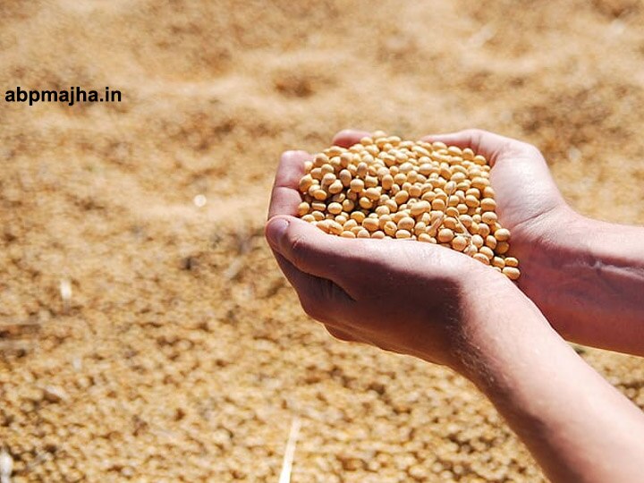 Beed soybean Seeds rate hike by Mahabeej सोयाबीन बियाण्यांच्या किमतीत महाबीजकडून वाढ, शेतकऱ्यांमध्ये संताप