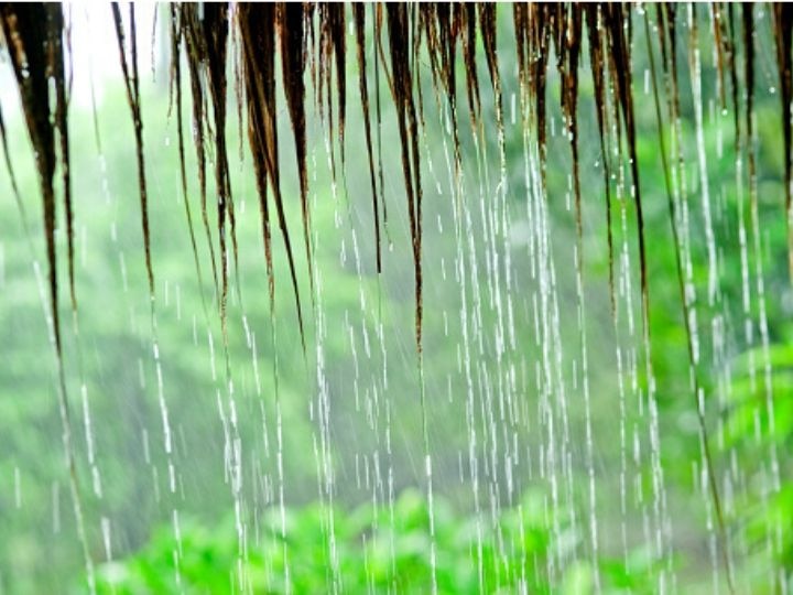 Farmers suffer massive crop damage in Pandharpur, Sangola and Malshiras of rain hit states पावसाने बळीराजा उध्वस्त; पंढरपूर, सांगोला अन् माळशिरस तालुक्याला ढगफुटीचा मोठा फटका