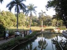 पुण्यातील सारसबाग, संभाजी गार्डन आणि इतर उद्याने उद्यापासून सुरू