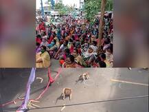 जीवनावश्यक वस्तू न मिळाल्याने कंटेन्मेंट झोनमधील नागरिकांची दगडफेक, पिंपरीच्या 'या' भागातील घटना