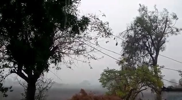 Rain in Maharashtra - Rain in Bhiwandi, Parbhani, Hingoli and other parts of state भिवंडी, परभणी, हिंगोलीसह काही जिल्ह्यात रात्रभर पाऊस; नदी खळखळली, ओढे-नाले भरले