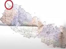 नेपाळकडून भारतीय भूमीचा समावेश असलेला नवीन नकाशा जारी!