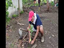 ज्येष्ठ साहित्यिक डॉ. विठ्ठल वाघांच्या पुढाकारातून ओसाड जागेत फुलली बाग