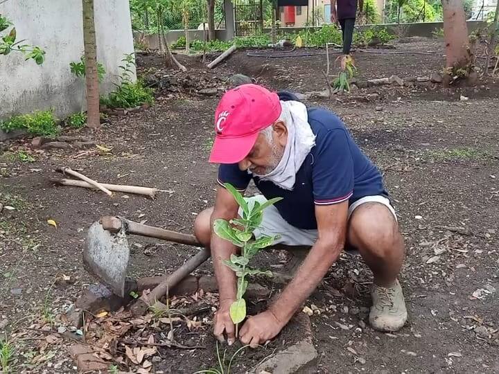'वाघामुळं जंगलाला शोभा येते', असं म्हटलं जातं. साहित्यातल्या या वाघामुळे ओसाड जागेची 'बाग' झालेल्या या जागेलाही शोभा आली होती.