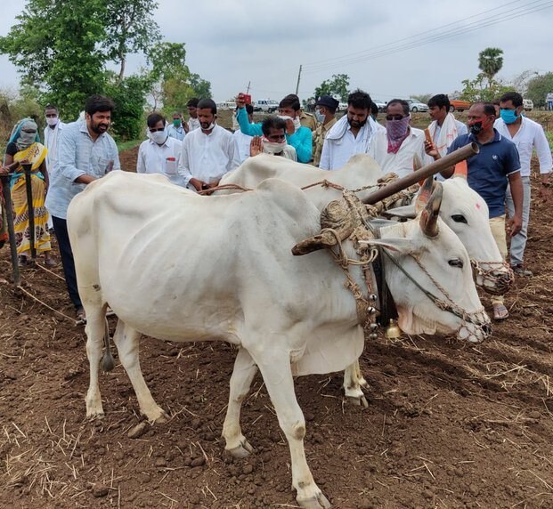 BLOG |  हाती तिफणीची 'कास', मनी प्रसिद्धीची 'आस'...