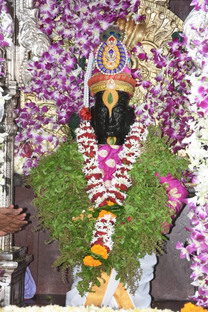 डोळ्यांचं पारणं फेडणारं विठुमाऊली रुप!