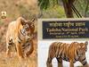 Tadoba Tiger Project | ताडोबा व्याघ्र प्रकल्पाला आता ´इको सेन्सेटिव्ह झोन´ची कवच-कुंडले