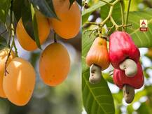 कोरोनामुळे प्रक्रिया उद्योगांवर संकट! करोडो रूपयांची उलाढाल ठप्प, तर हजारो हात बेरोजगार