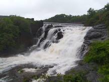 रत्नागिरी जिल्ह्यात सर्वदूर पावसाची हजेरी, आतापर्यंत 375 मिमी पावसाची नोंद