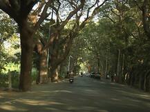 लॉकडाऊन काळात आरे कॉलनीत पार्टी, 33 जणांविरोधात गुन्हा