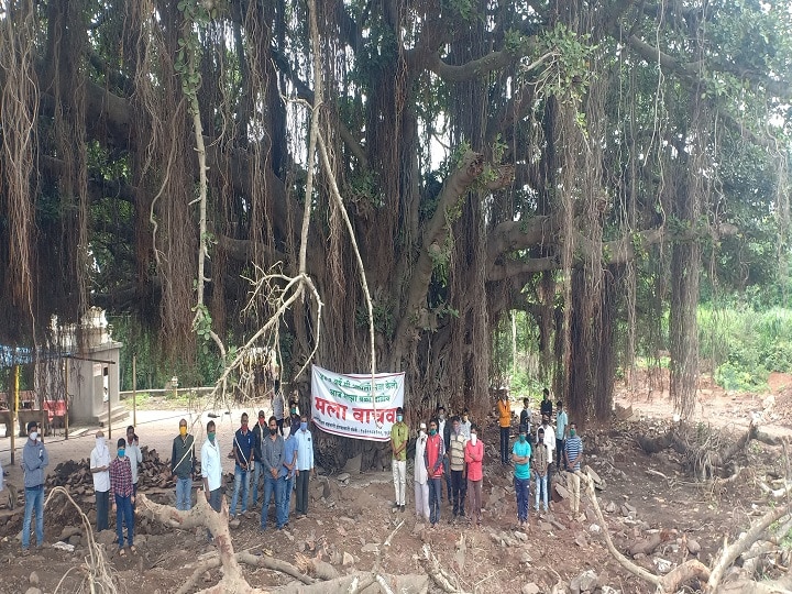 Chipko movement in Sangli to save 400 year-old banyan tree 400 वर्षे जुन्या वटवृक्षाची कत्तल वाचवण्यासाठी सांगलीत उभे राहिले 'चिपको आंदोलन'