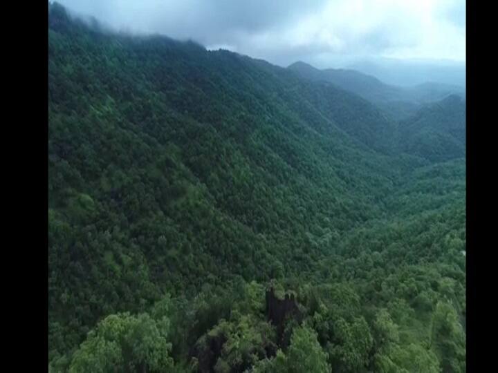 सातपुडा पर्वत रांगांवर पसरलेली हिरवाईची चादर