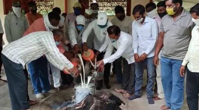 नाशिकमध्ये चिंचखेड गावातील शिवमंदिरात दुग्धाभिषेक घालत आंदोलन करण्यात आलं.