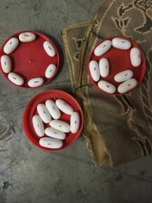 PHOTO | कृत्रिम पद्धतीने अंडे उबवून 22 कोब्रा जातीच्या सापांच्या पिल्लाना दिला जन्म