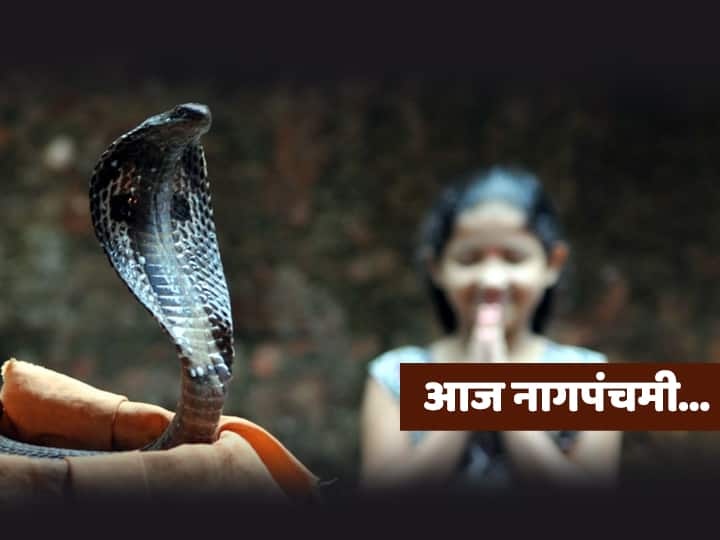 Nag Panchami 2020 Know about pooja Vidhi Nag Panchami 2020 | आज नागपंचमी... जाणून घ्या पूजेचा विधी, मुहूर्त