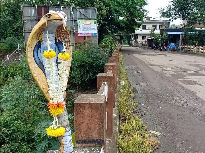 Nagpanchami festival at Shirala in Sangli is celebrated in a simple manner सांगलीतील शिराळा येथील नागपंचमी उत्सवाला कोरोनाचं ग्रहण, नागपंचमी साध्या पद्धतीने साजरी
