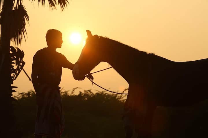 'कोलावरी डी' या गाण्यानंतर धनुष प्रसिद्धीझोतात आला. हे गाणं स्वतः धनुषने लिहिले होते. आश्चर्याची गोष्ट म्हणजे, धनुषने या गाण्याचे बोल केवळ सहा मिनिटांत लिहिले होते. तर गाण्याच्या   रेकॉर्डिंगला फक्त 35 मिनिटांचा कालावधी लागला होता.