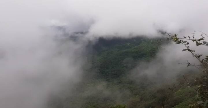 सर्व फोटो-  महादेव भिसे 