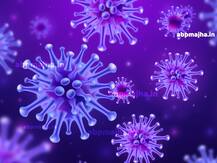 पुण्यातील एकाच कंपनीत 110 कामगारांना कोरोनाची लागण झाल्याने खळबळ