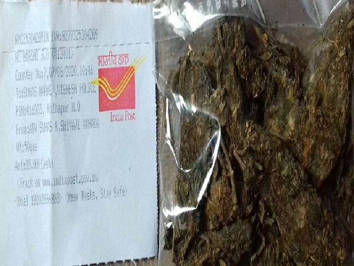 Ignoring the complaint, social worker send ganja to Special Inspector General of Police solapur तक्रारीकडे दुर्लक्ष केल्याने थेट विशेष पोलिस महानिरीक्षकांना पाठवला गांजा, सोलापुरातील सामाजिक कार्यकत्यांचं पाऊल