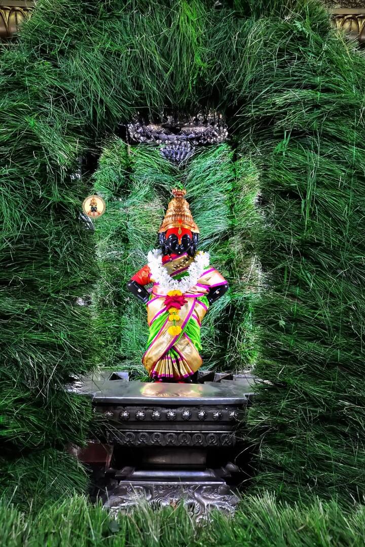 तर रुक्मिणी मातेला हिरव्या रंगाचा पैठणीमुळे दुर्वाच्या नैसर्गिक रंगात विठ्ठल रुक्मिणीचं रूप अजूनच खुलून दिसत आहे .