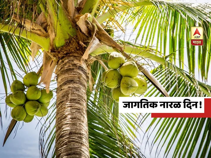World Coconut day - Benefits and types of coconut World Coconut Day | नारळाचे वेगळे फायदे आणि प्रकार