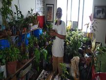 ठाण्यातले ट्री मॅन विजय कुमार कुट्टी! घरात तब्बल 275 रोपट्यांची जोपासना