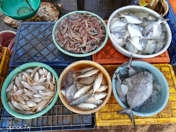 Ratnagiri Fishing Business large amount of fish Export to European country रत्नागिरी जिल्ह्यातील मासे व्यावसायिकांना अच्छे दिन; या देशात होते इतक्या कोटींची निर्यात