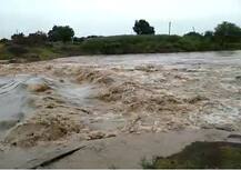 मराठवाड्यात पावसाचं धुमशान; विभागातील जवळपास सर्वच जिल्ह्यात पावसाची दमदार हजेरी