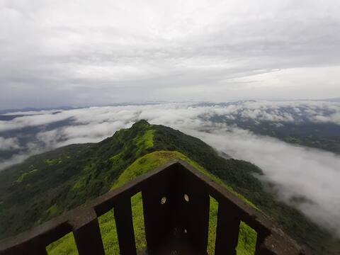 PHOTO | आंबोलीतला भन्नाट नजारा, हिरवाईनं नटला परिसर वर ढगांची चादर PHOTO | आंबोलीतला भन्नाट नजारा, हिरवाईनं नटला परिसर वर ढगांची चादर