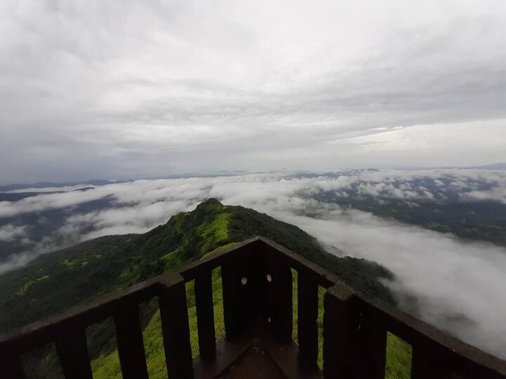 ही सर्व छायाचित्र वन्य प्राणी छायाचित्रकार काका भिसे यांनी टिपली आहेत.