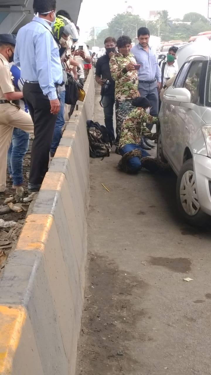 खड्ड्यांमुळे किंवा साचलेल्या पाण्यामुळे मुंबईच्या रस्त्यावर वाहतूक कोंडी झाल्याचं किंवा वाहतूक विस्कळीत झाल्याचं अनेकांना माहित आहे. परंतु पूर्व द्रुतगती महामार्गावरील वाहतूक  आज चक्क एका अजगराने रोखली.
