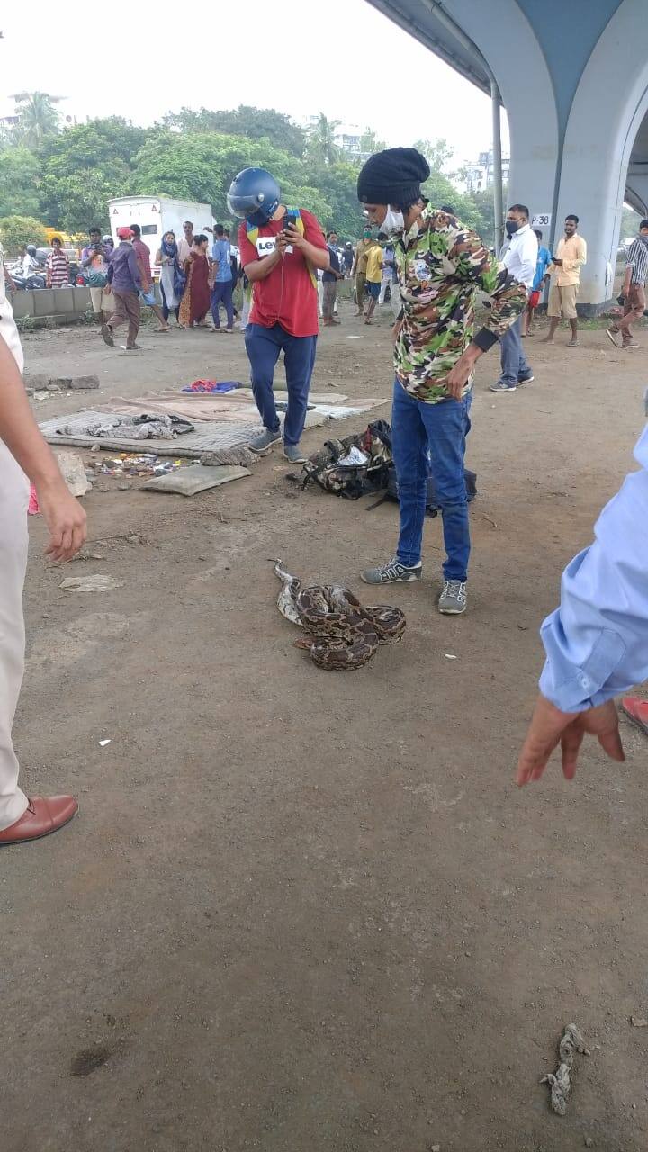 मात्र तोपर्यंत या मार्गावर सायनकडे जाणारी सर्व वाहतूक विस्कळीत झाली होती. तर बघ्यांचीही मोठी गर्दी या ठिकाणी झाली होती.