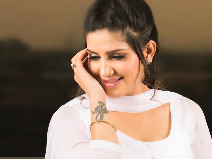 याच वर्षी जानेवारी महिन्यात सपना चौधरीनं हरियाणवी गायक-कलाकार वीर साहूसोबत लग्न केलं होतं.