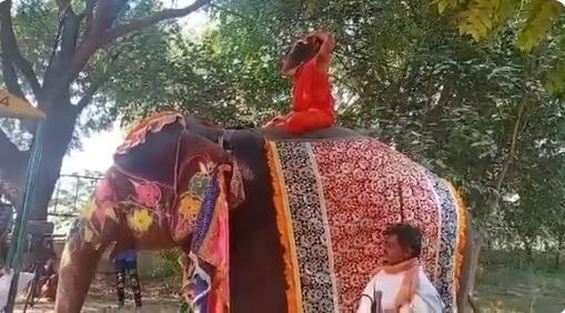 Baba Ramdev falls off elephant while performing yoga, video goes viral हत्तीवर बसून प्राणायाम करताना रामदेव बाबा पडले, व्हिडीओ व्हायरल