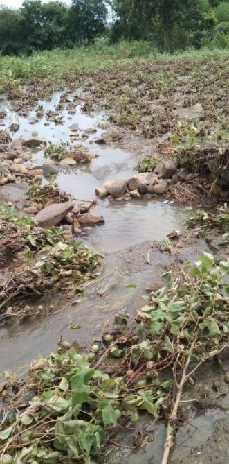 BLOG | शेतकरी मित्रांनो, शेजाऱ्याचा बांध टोकरताय?